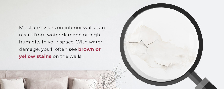 Moisture-Related Issues when Painting